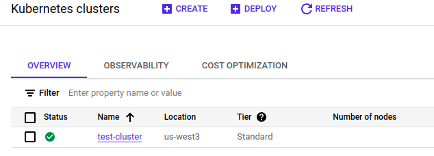 Details panel in Google Cloud showing the name and location of a GKE cluster.